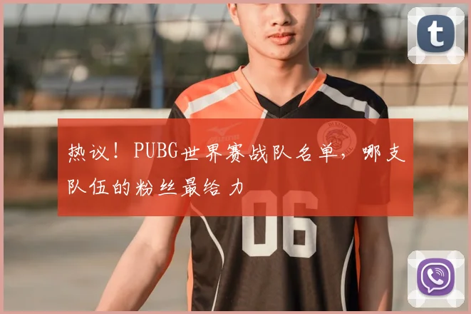 热议！PUBG世界赛战队名单，哪支队伍的粉丝最给力